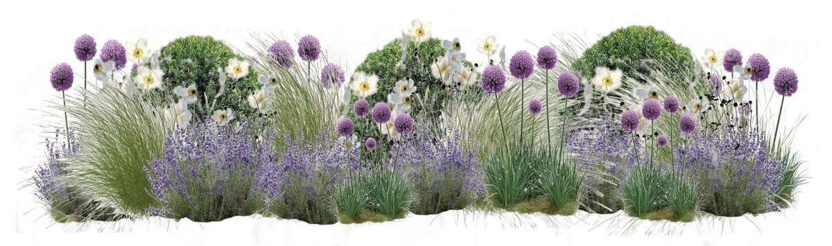 Blomsterrabatt
